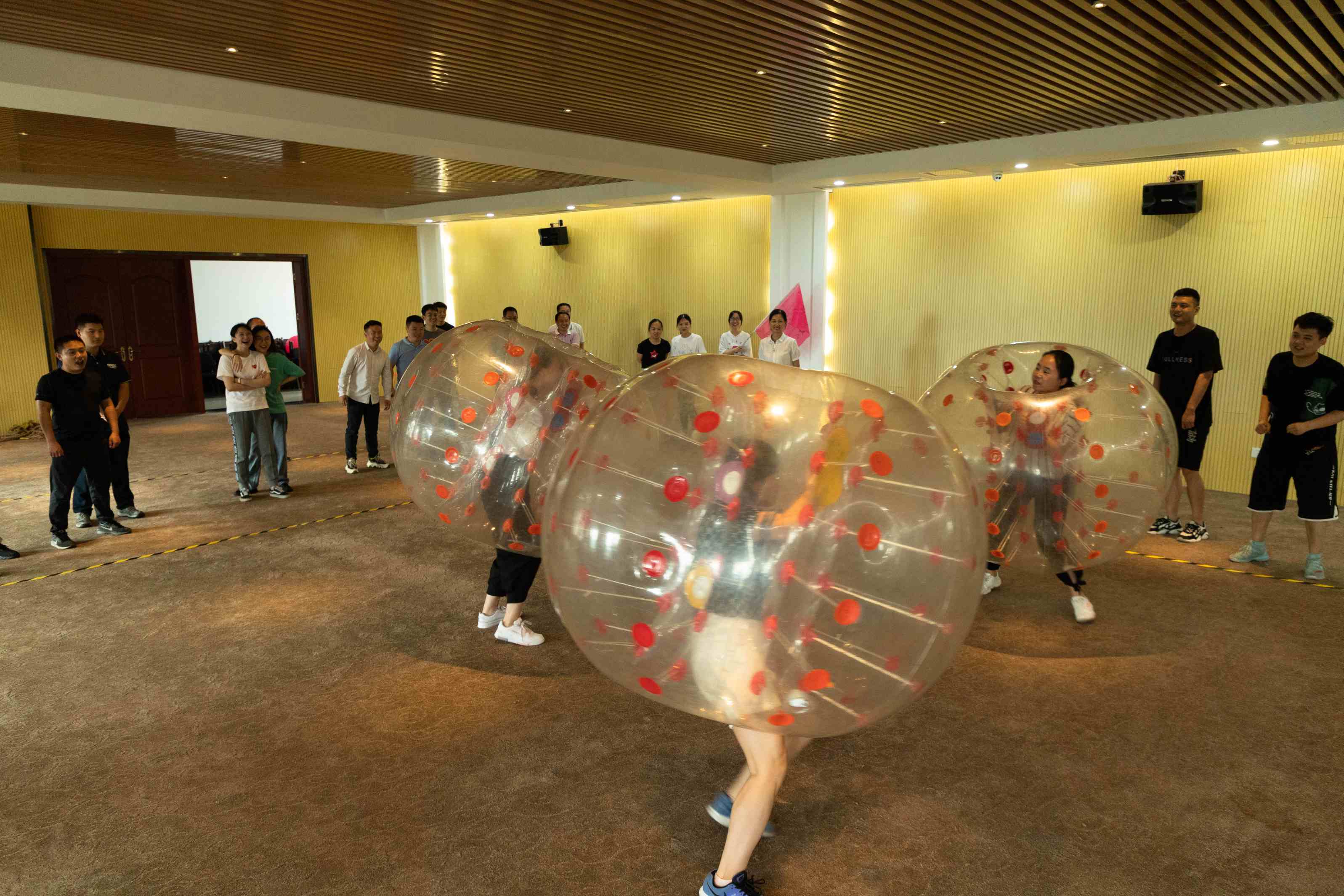 5.jpg 5.jpg