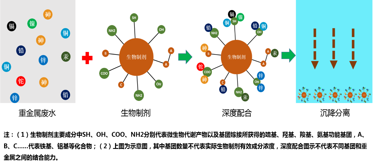 8.png 8.png