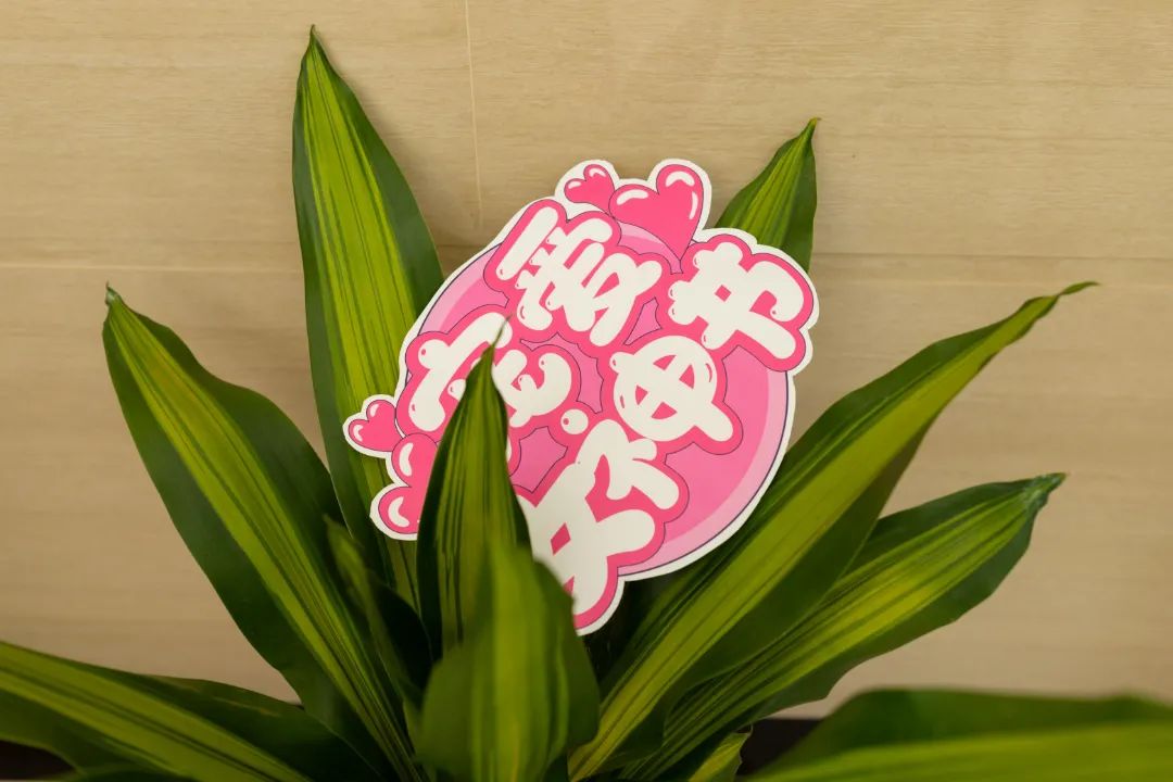 微信图片_20230209175210.jpg 微信图片_20230209175210.jpg